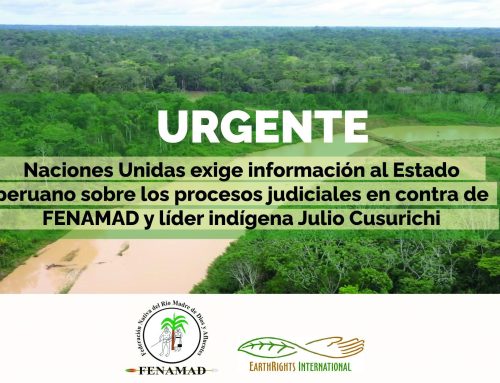 NACIONES UNIDAS EXIGE AL ESTADO PERUANO INFORMACIÓN SOBRE LOS PROCESOS JUDICIALES EN CONTRA DE FENAMAD Y SU EXPRESIDENTE JULIO CUSURICHI