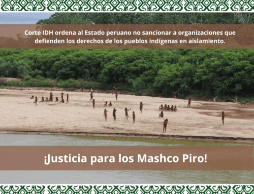 CORTE INTERAMERICANA DE DERECHOS HUMANOS ORDENÓ AL ESTADO PERUANO ABSTENERSE DE SANCIONAR A FENAMAD Y  EARTHRIGHTS INTERNATIONAL POR DEFENDER LOS DERECHOS DE LOS PUEBLOS INDÍGENAS EN AISLAMIENTO