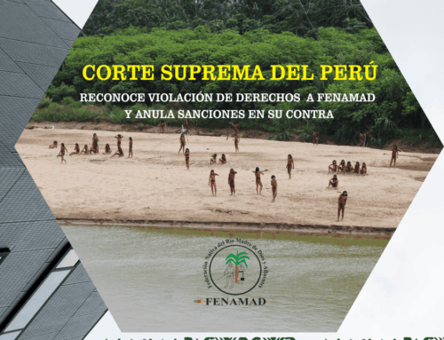CORTE SUPREMA DEL PERÚ RECONOCE VIOLACIÓN DE DERECHOS A FENAMAD Y ANULA SANCIONES EN SU CONTRA