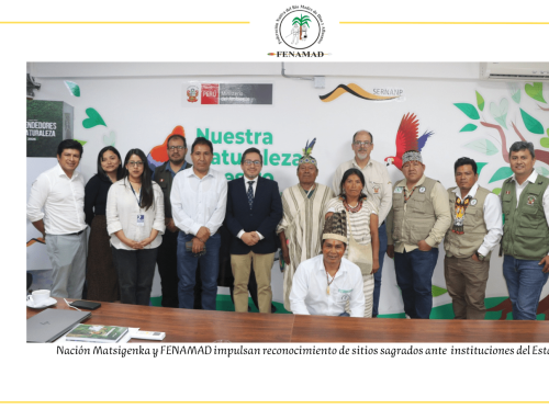 Consolidando la defensa de los pueblos indígenas: el proyecto TF respalda iniciativas de organización, protección y territorio.